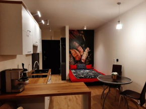 Apartament pod Szyndzielnią, Dębowiec Bielsko-Biała